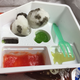 Image for article titled Japan Crate Monthly Snack Delivery Service: The Snacktaku Review